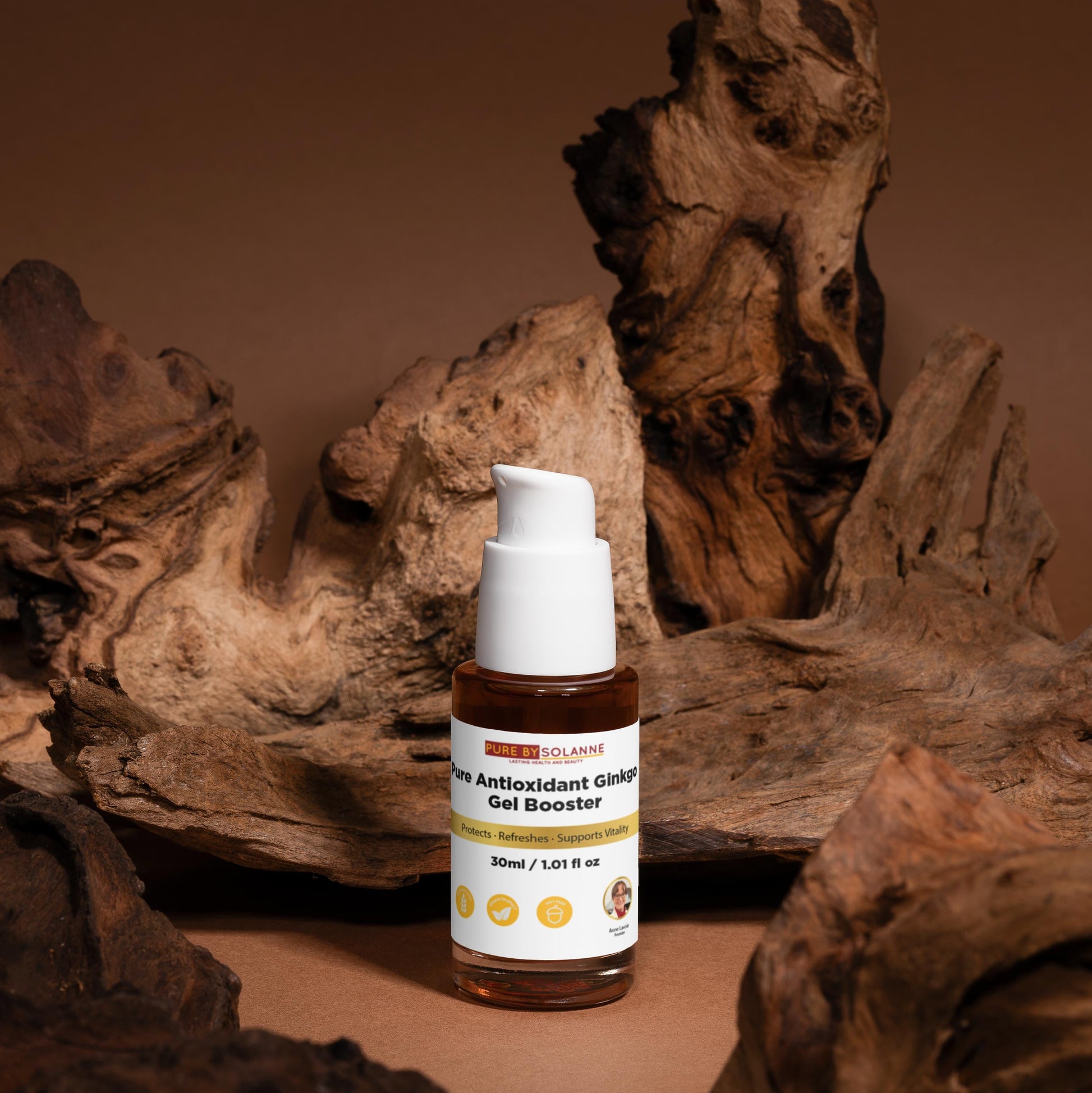 Pure Antioxidant Ginkgo Gel Booster